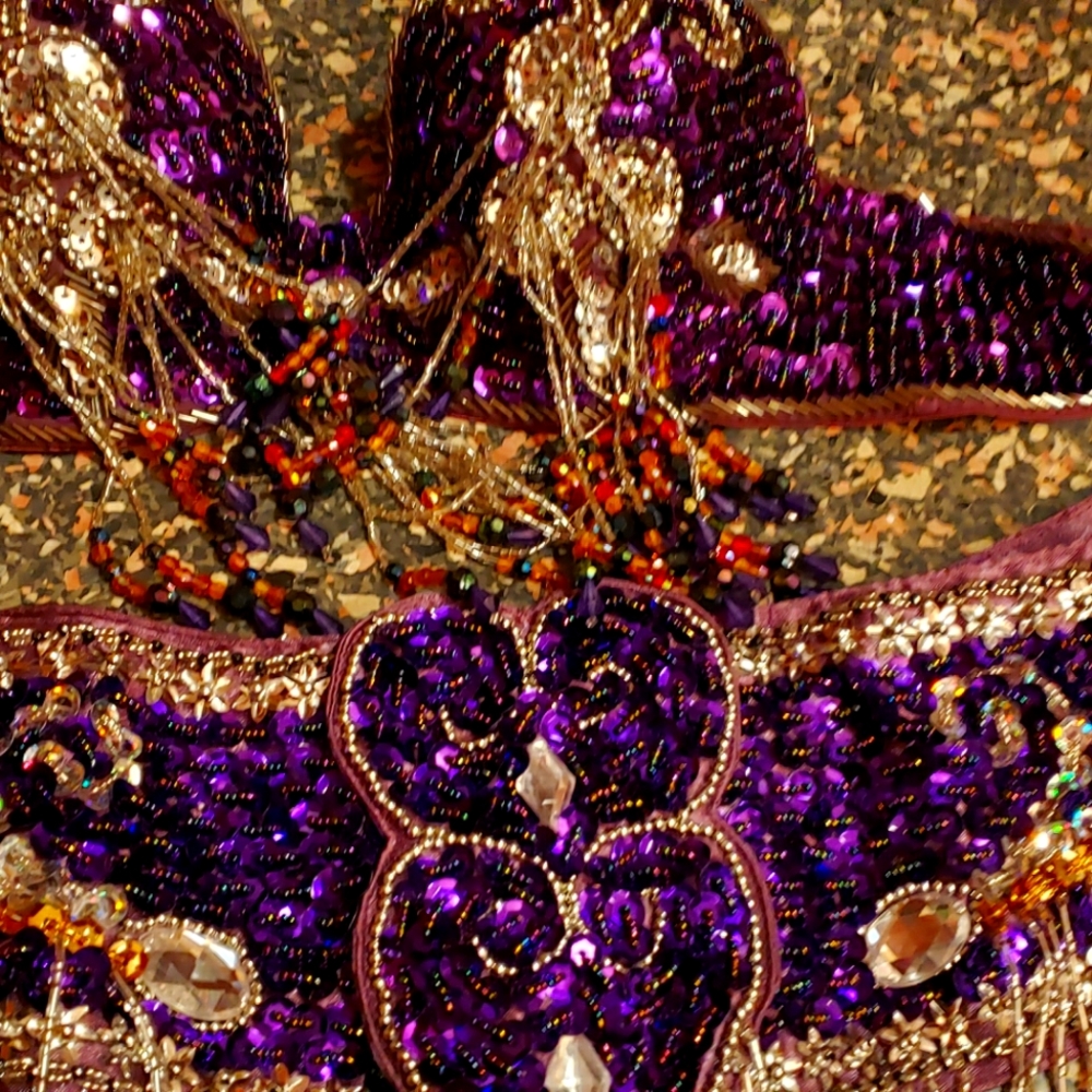 Purple bellydance bra and belt